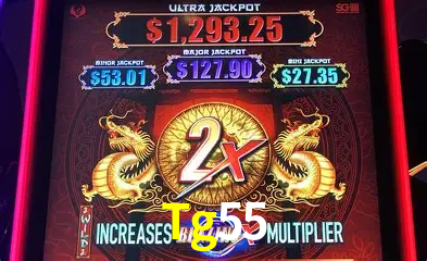 Sistemas de Segurança Tg55