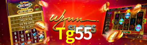 Programa VIP Tg55