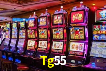 Tecnologia da Plataforma Tg55